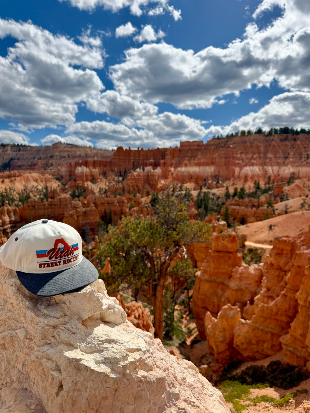 Celly Hockey Co Utah Street Hockey Hat