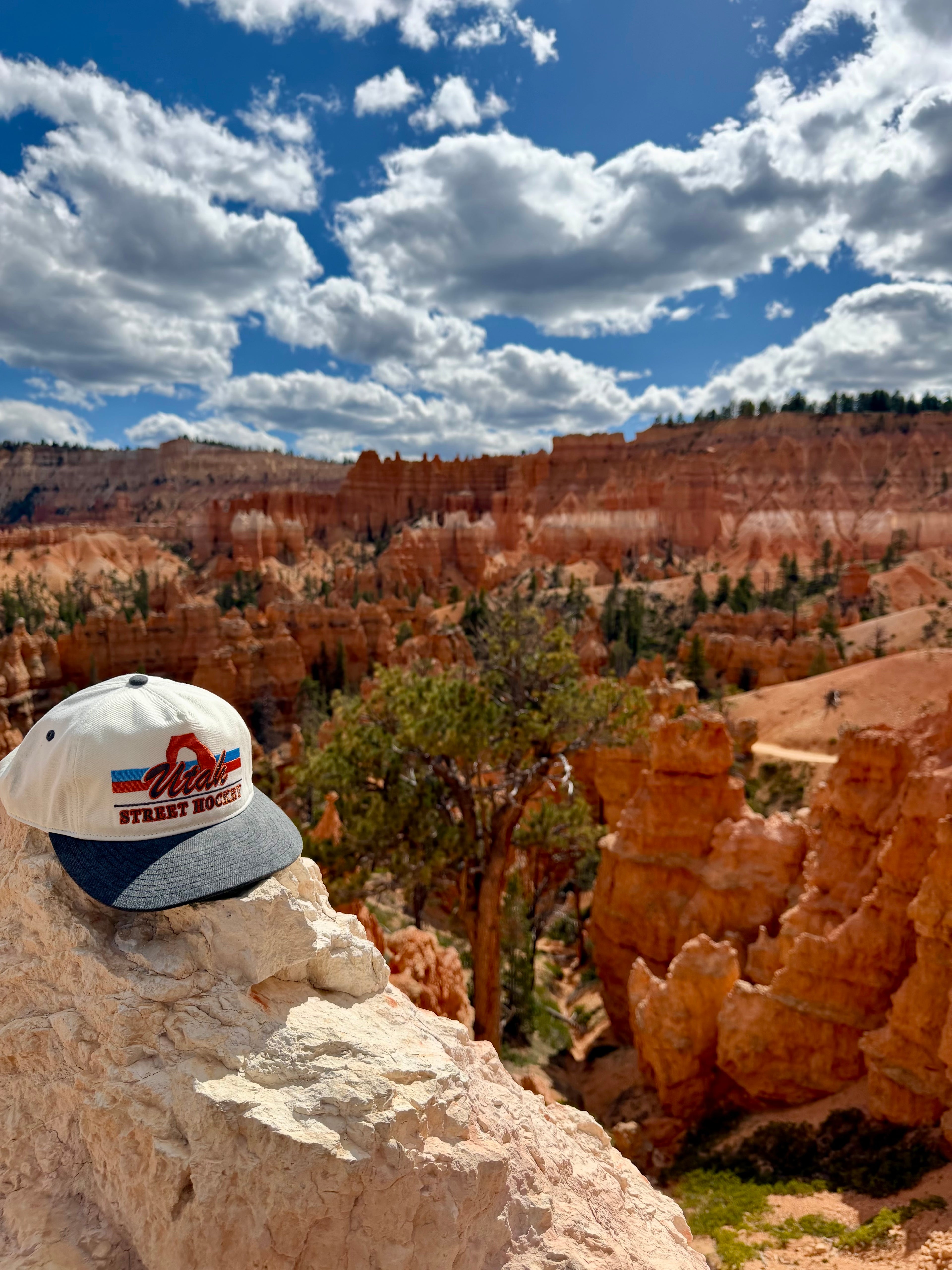 Celly Hockey Co Utah Street Hockey Hat