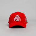 Woodn Grail Ohio State Helmet Sticker / Red Corduroy